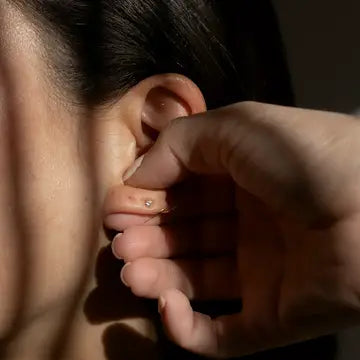 THE FOUNDATIONS (24K GOLD EAR SEEDS)