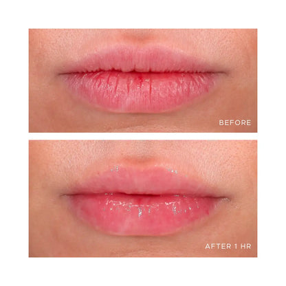 ÂN-GLOSS Ceramide Lip Treatment